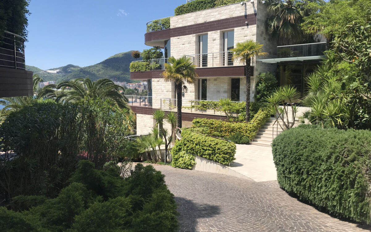 Best Trees and Shrubs for the Adriatic Climate of Montenegro