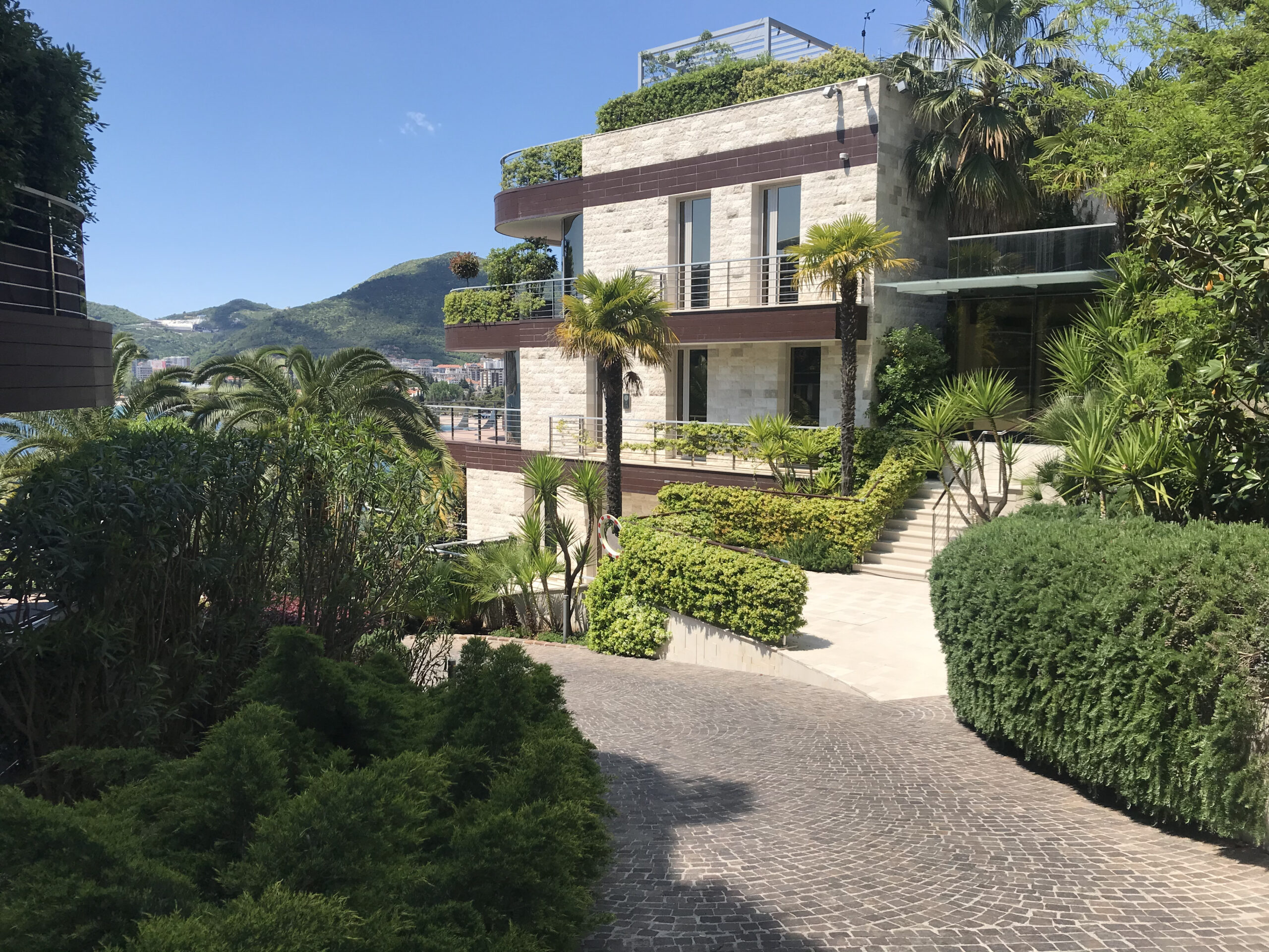 Best Trees and Shrubs for the Adriatic Climate of Montenegro