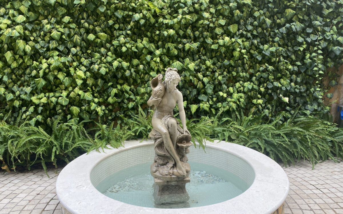 Designing a Garden for Relaxation and Meditation
